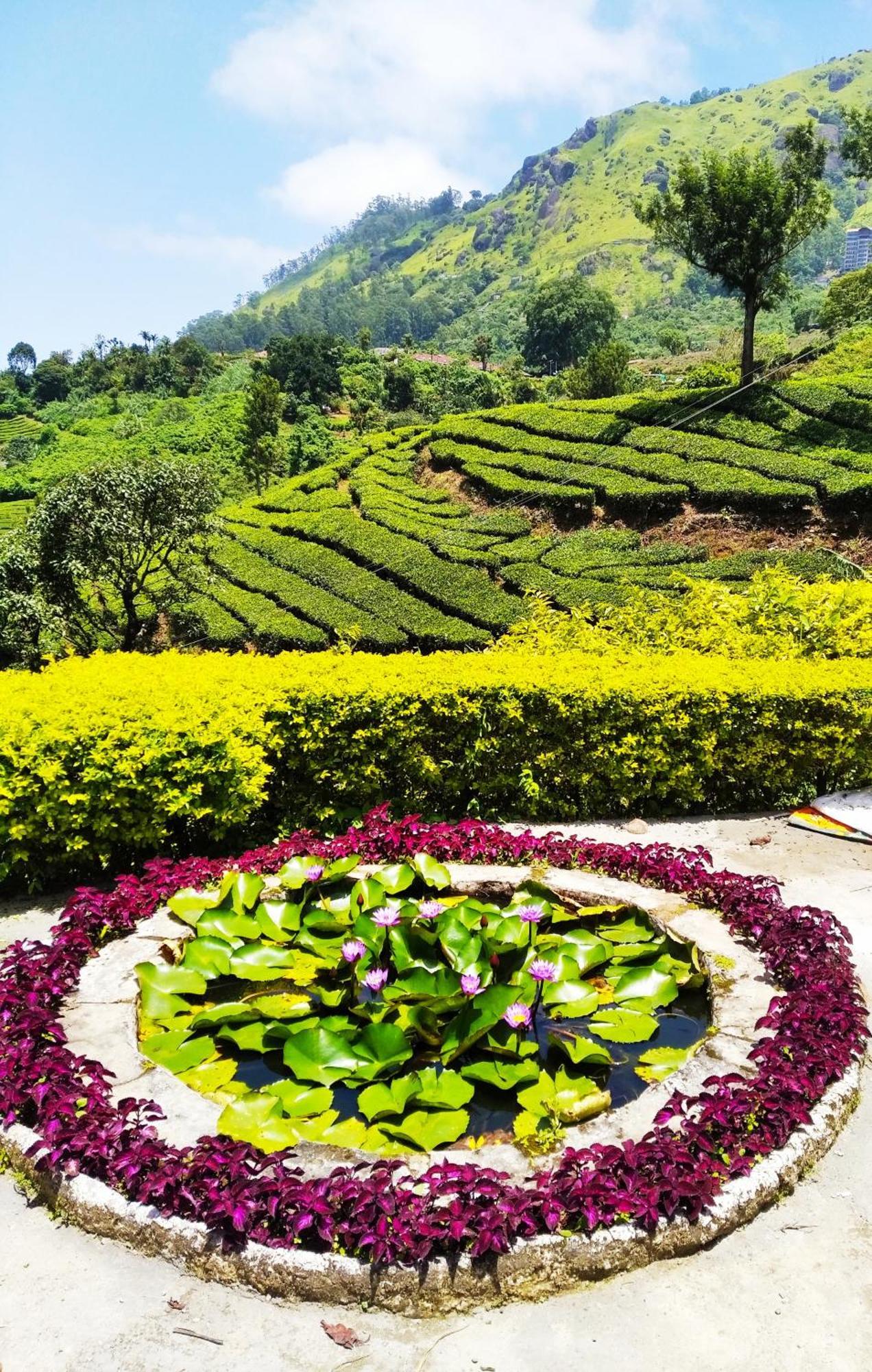 Blackcherry Munnar Buitenkant foto