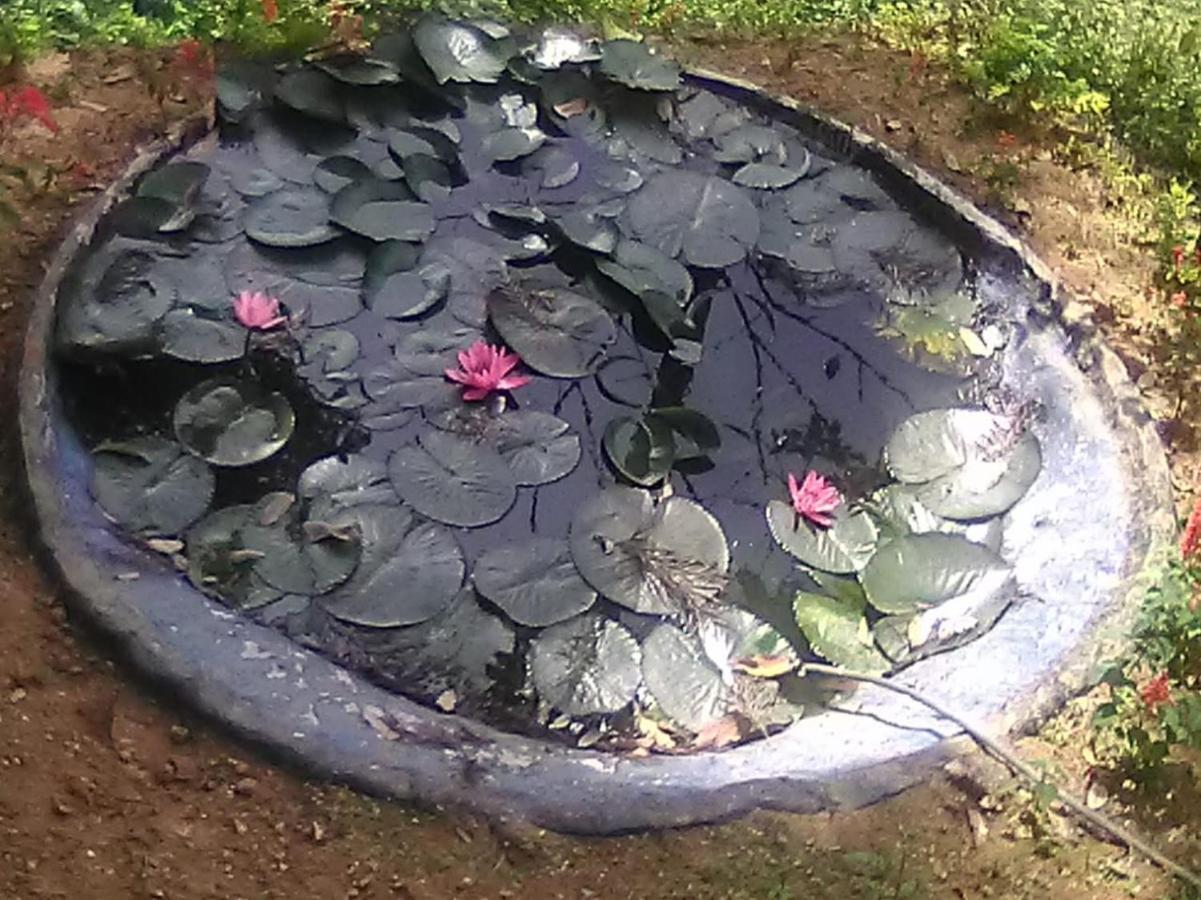 Blackcherry Munnar Buitenkant foto